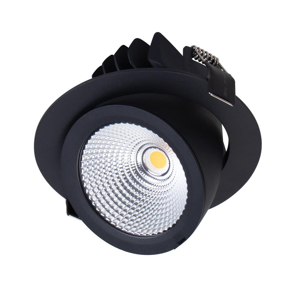 SCOOP-25 Round 25W Adjustable LED Dimmable Downlight TRIO - Black