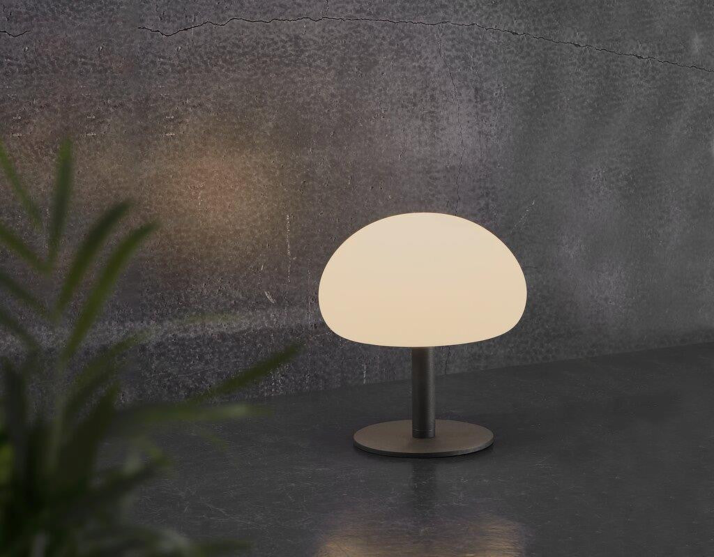 Sponge 20 table lamp against the dark wall.