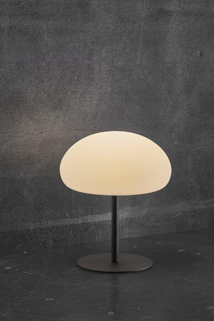 Sponge 34 table lamp next to dark wall.
